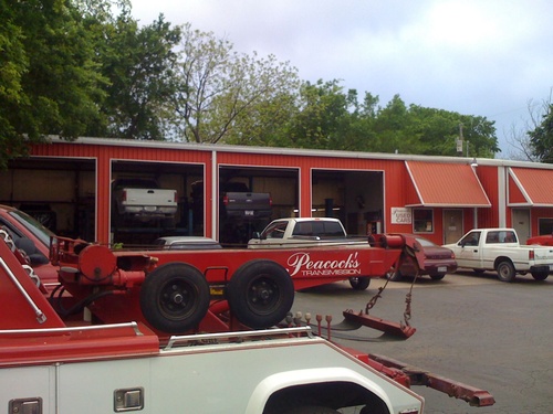 Gallery Image Peacock1.jpg