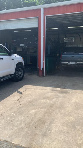 Gallery Image Peacock3.jpg