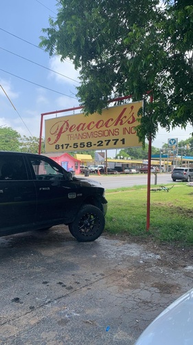 Gallery Image Peacock4.jpg