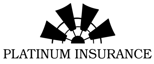 Platinum Insurance, LLC