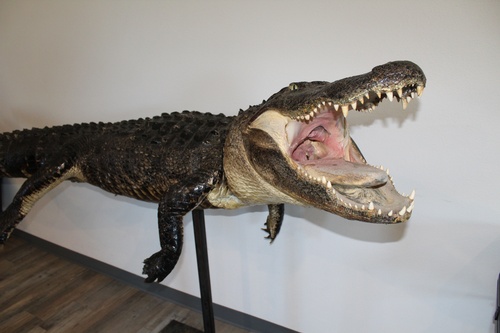 Gallery Image IMG_3226_220426-034435.JPG