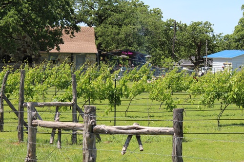 Gallery Image IMG_3260.JPG