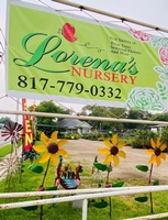 Lorena's Nursery