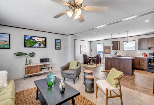 Gallery Image Screenshot%202026-01-06%20130931.png