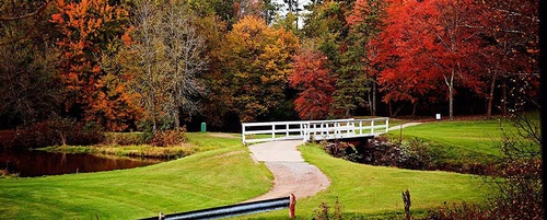 Gallery Image slide06.jpg