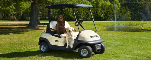 Gallery Image slide07.jpg