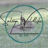 Salem Wildlife Rescue