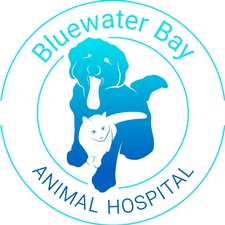 Bluewater Bay Animal Hospital