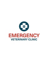 Emergency Vet Clinic Niceville