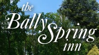 Bally Spring Inn