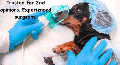 North Jackson Animal Clinic