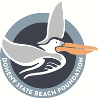 Doheny State Beach Foundation