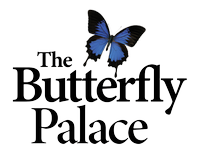 Butterfly Palace & Rainforest Adventure