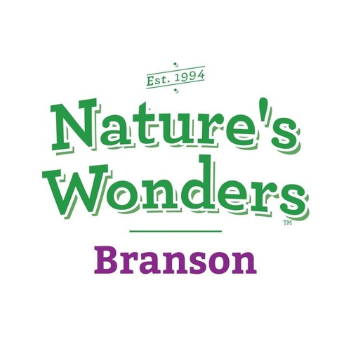 Branson Logo