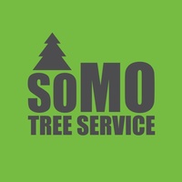 SOMO Tree Service
