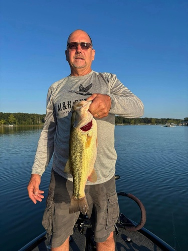 Gallery Image outdoors%20fish.jpg