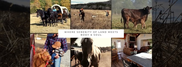 Mountain Creek Ranch