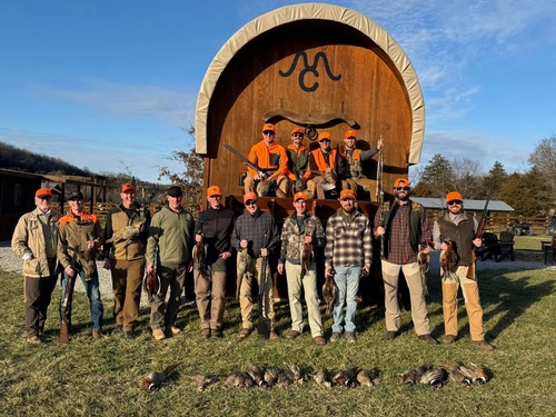 Gallery Image Mountain%20Creek%20Bird%20hunt.jpg