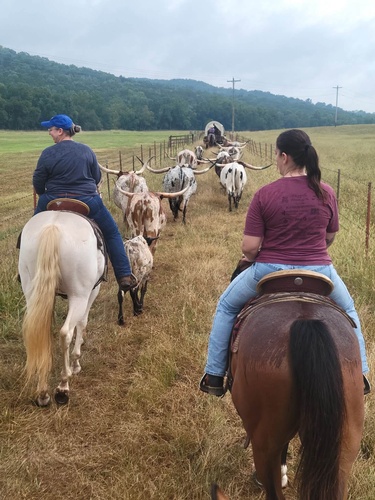 Gallery Image Mountain%20Creek%20horseback%20riding.jpg