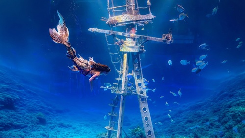 Gallery Image WOW%20mermaid.jpg