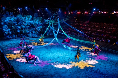 Carousel Carousel