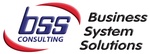 Business System Solutions