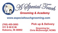 A Special Touch Grooming and Academy