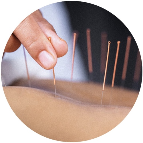 Gallery Image ScreenHunter%208630.jpg