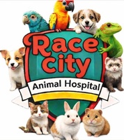 Race City Animal Hospital