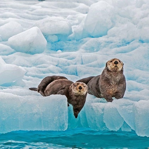 Gallery Image ScreenHunter%209106.jpg