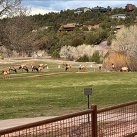 Payson Golf Club & The Fairways Restaurant 