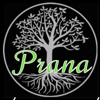 Prana Vitality & Wellness 