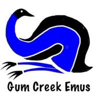 Gum Creek Emus 