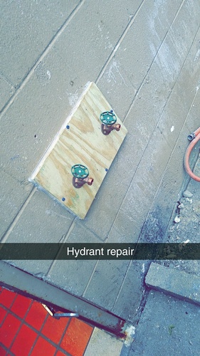 Gallery Image IMG_1238_121225-010551.jpeg