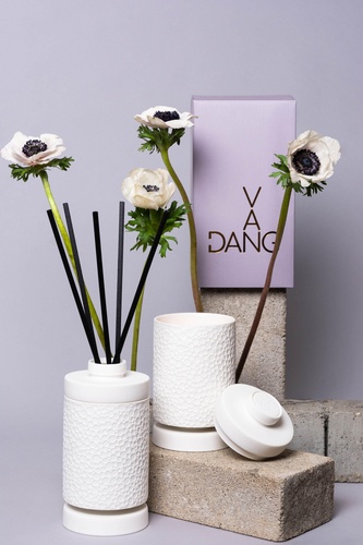 Van Dang home fragrances - reed diffuser and candle