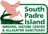 South Padre Island Birding, Nature Center & Alligator Sanctuary