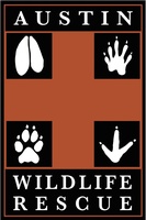 Austin Wildlife Rescue