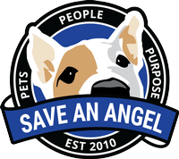 Save An Angel