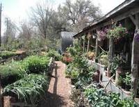 Grandma's House Garden Nursery & Florist 