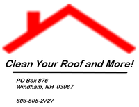 Clean Your Roof and More!