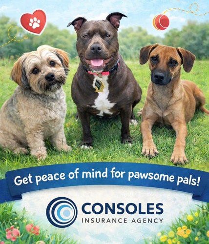 Gallery Image CONSOLES%208.jpg