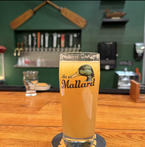 Gallery Image MALLARD%201.png