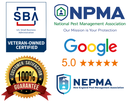 Gallery Image BROCHU%20CREDS.png