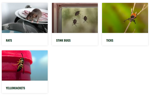 Gallery Image pests%203.png