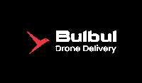 BULBUL INC