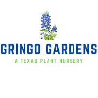 Gringo Gardens