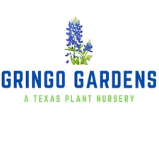 Gringo Gardens