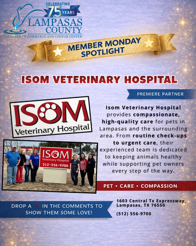 Gallery Image ISOM%20Vet%20Member%20Monday%20Spotlight.png