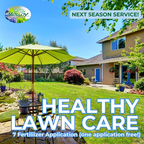 Gallery Image 594264932_1317216206869659_8649277407380923855_n.jpg