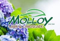 Molloy Lawn & Landscape